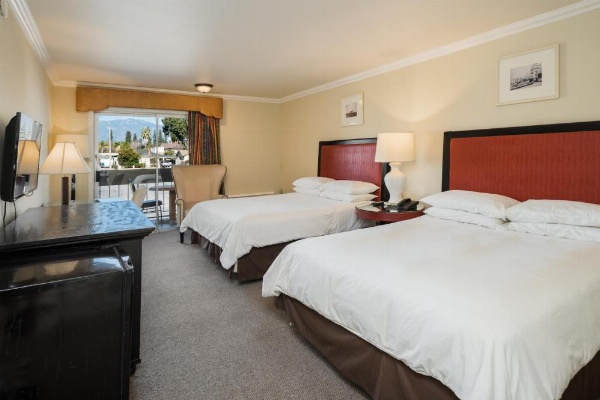 Bokai Garden Hotel image 9